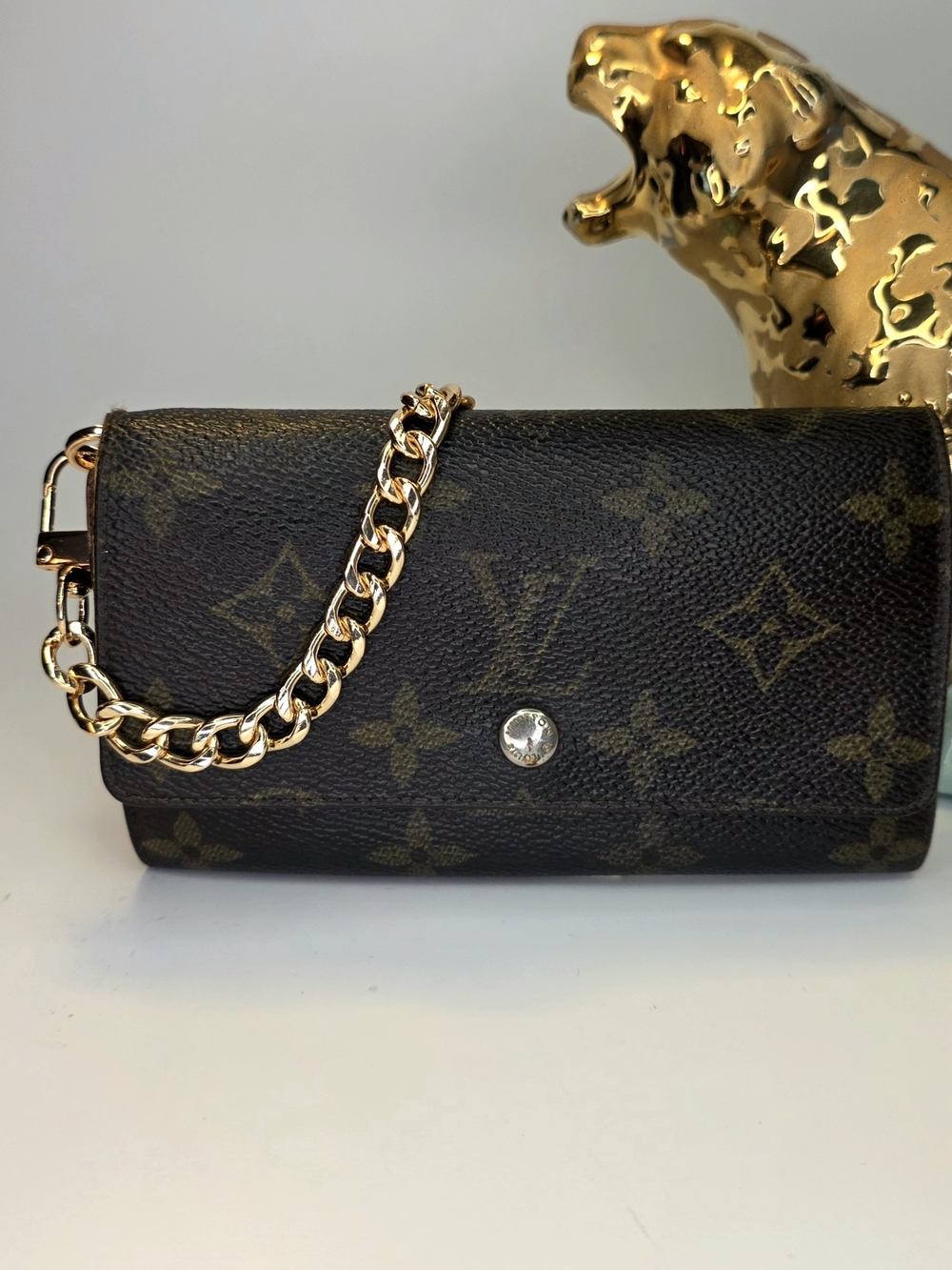 Louis Vuitton Small Monogram Wallet With Chain ✨️